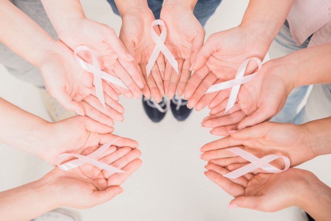 Flowers Plantisima Flowers Plantisima