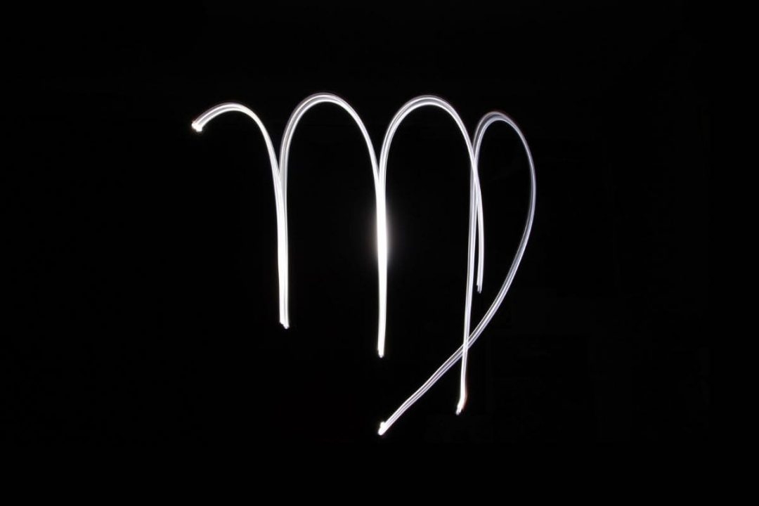 Flowers For Virgo Zodiac Flowers For Virgo Sign Plantisima