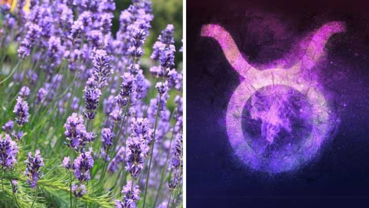 9 Fragrant Flowers That Bring Out the Beauty of Taurus Earth Signs