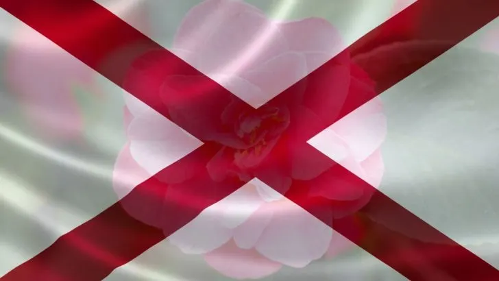 Camellia Japonica: Official Alabama State Flower