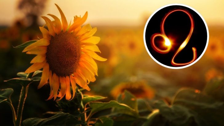 Five Warm-Toned Flowers That Perfectly Match Leo’s Fiery Energy