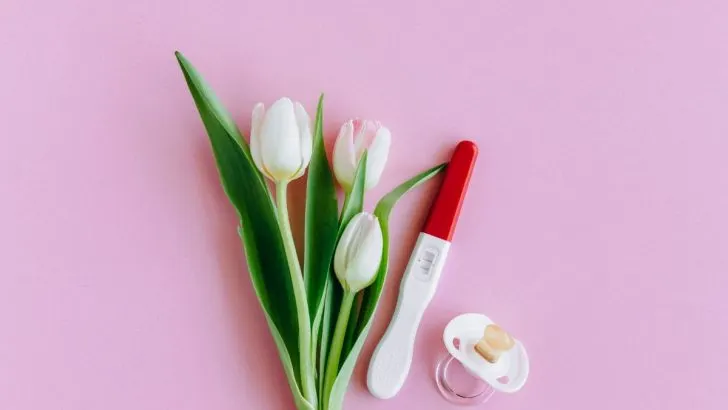 3 Most Effective Plants For Fertility