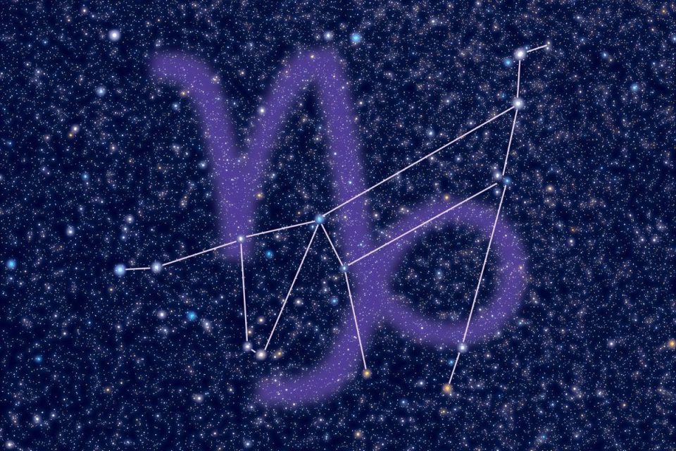 Flowers For Capricorn 7 Blooms For The Best Earth Sign Plantisima