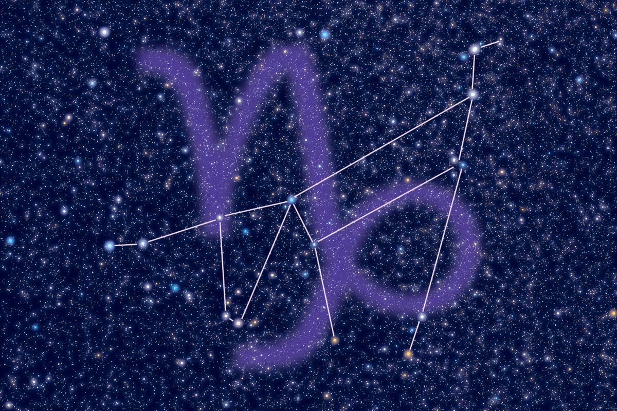 Flowers For Capricorn 7 Blooms For The Best Earth Sign Plantisima