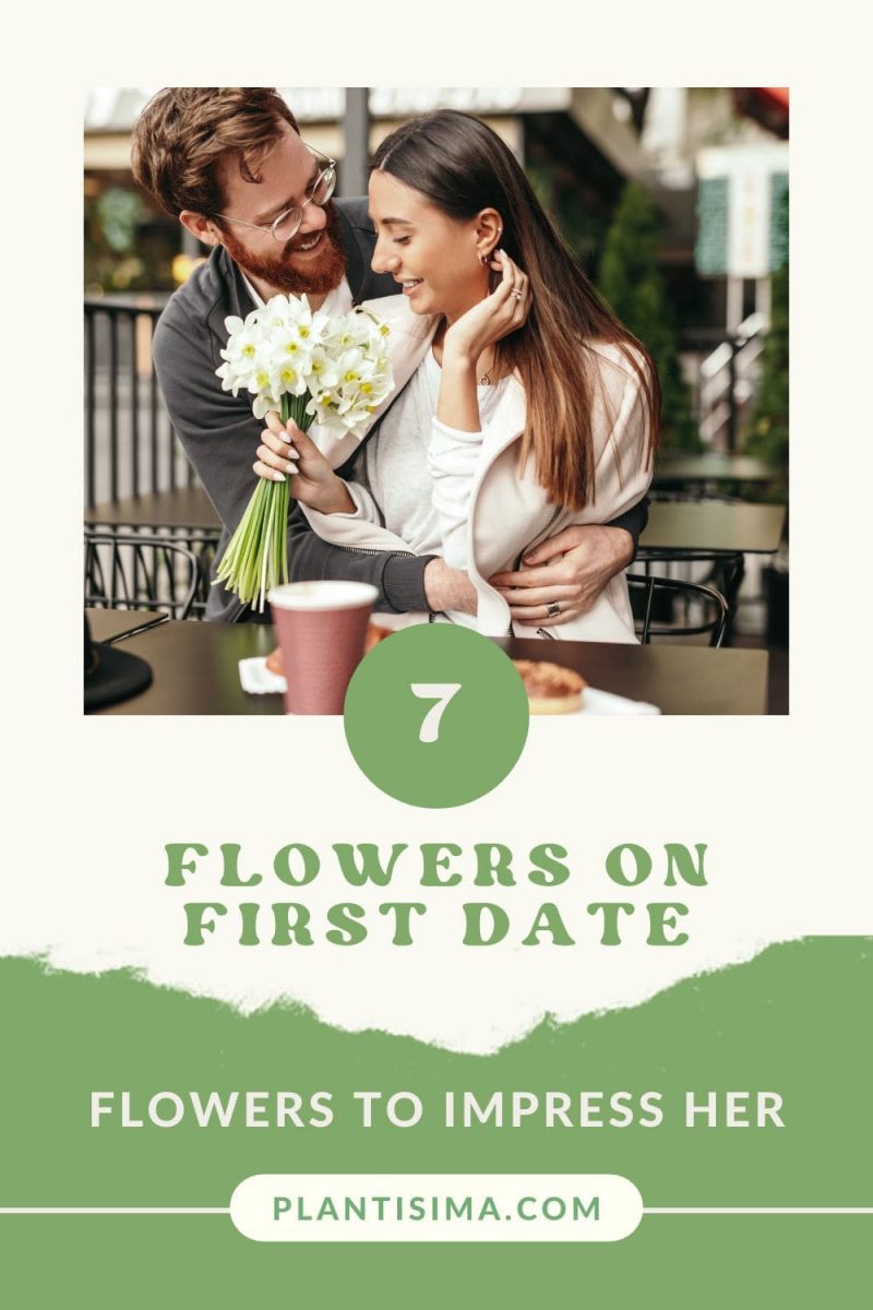 Flowers On First Date 7 Flowers To Impress Her Plantisima