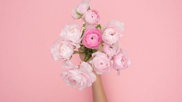 Flowers On First Date: 7 Flowers To Impress Her