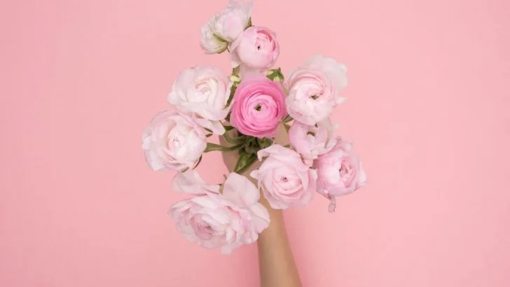 Win Her Heart with These 7 Charming Flowers on Your First Date