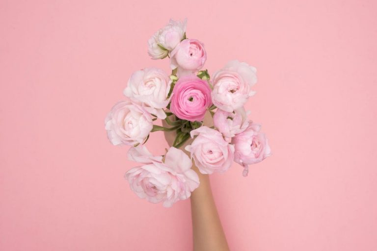 Flowers On First Date_ 7 Flowers To Impress Her