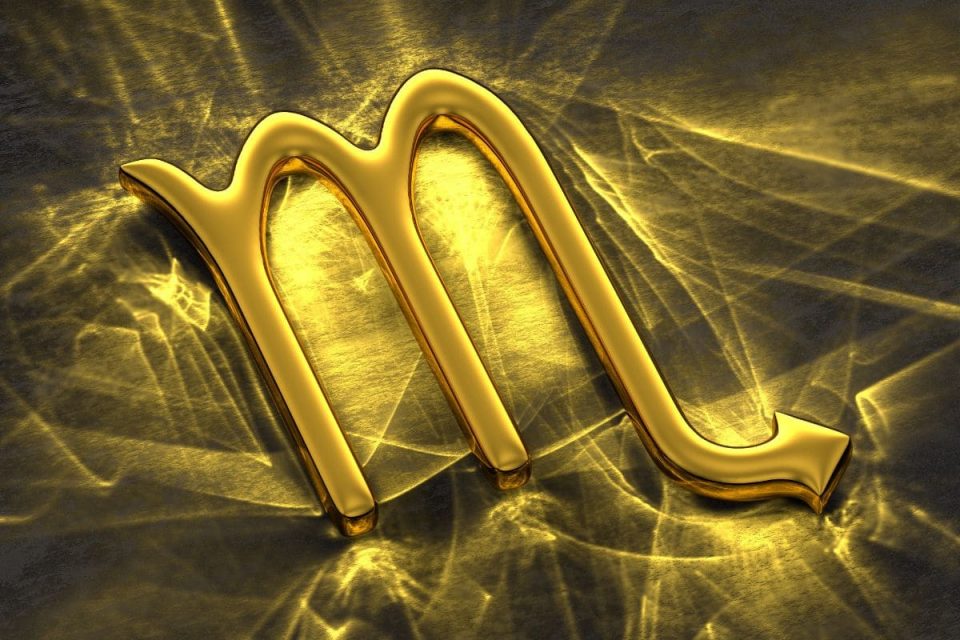 Flowers For Scorpio The Best 7 Scorpio Birth Flowers Plantisima