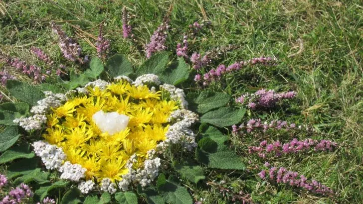 Spiritual Enlightenment In Mandala Flowers Meaning