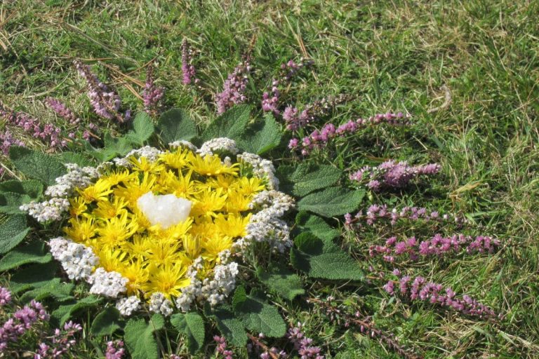 Spiritual-Enlightenment-In-Mandala-Flowers-Meaning