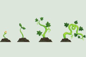 From Seedling to Full Bloom Follow the Intriguing Plant Life Cycle ...