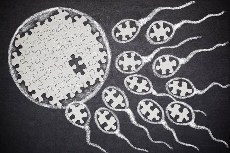 Flower For Fertility 3 Most Effective Plants For Fertility Plantisima