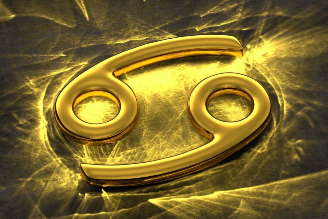 Zodiac & Birth Flowers Plantisima