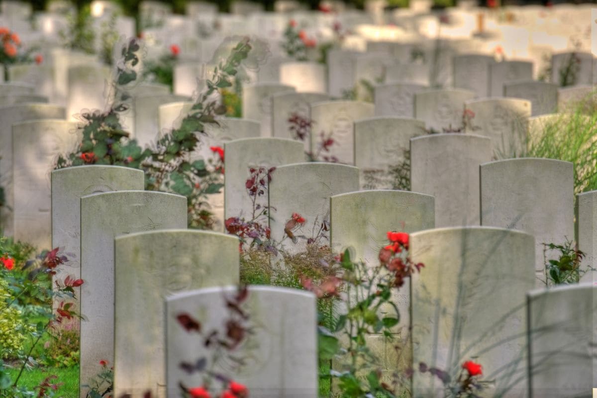 5 Best Choices Of Low Maintenance Plants For Graves Plantisima