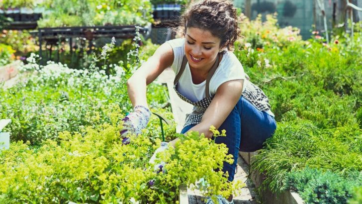 Beach Gardening: Become A Pro With Our Help
