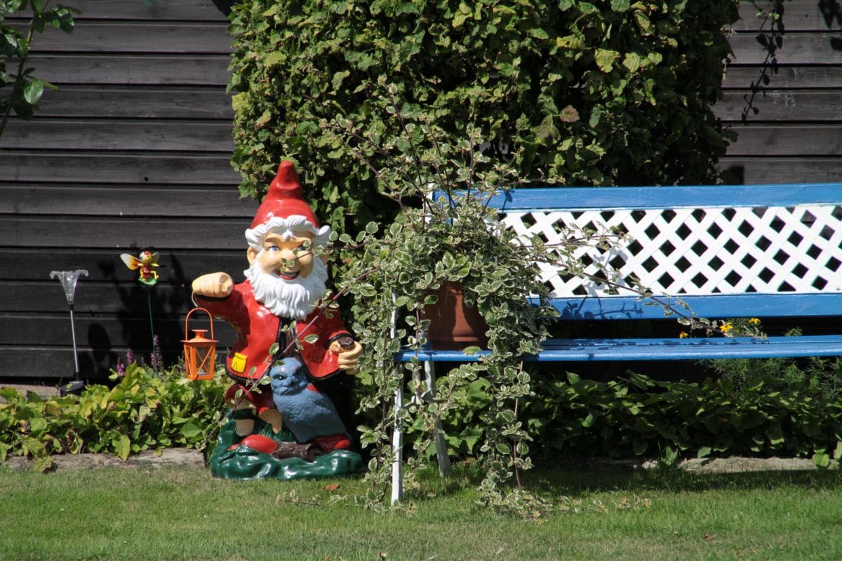 Are Gnomes Good Luck? Mythical Creatures Secret Stories Plantisima