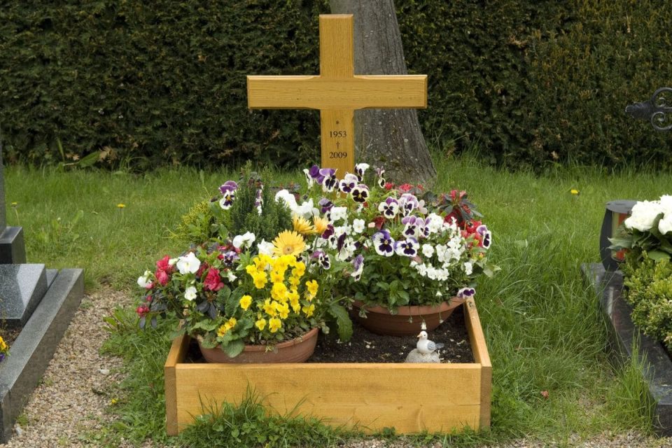 5 Best Choices Of Low Maintenance Plants For Graves Plantisima