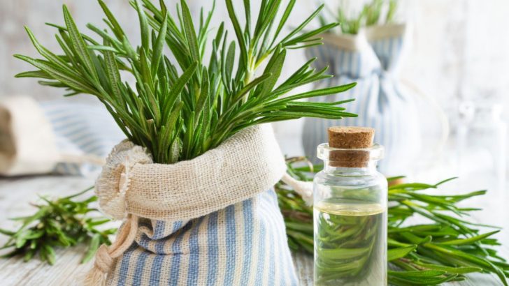 12 Surprising Ways to Use Rosemary Around Your Home and Garden