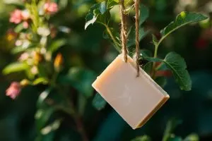 Here’s Why You Should Hang a Bar of Soap in Your Garden