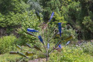 Is There a Hidden Meaning Behind Hanging Glass Bottles from Trees