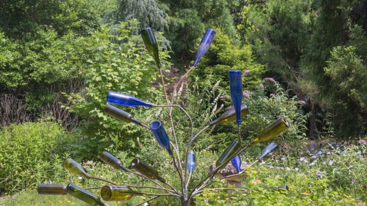 Is There a Hidden Meaning Behind Hanging Glass Bottles from Trees?