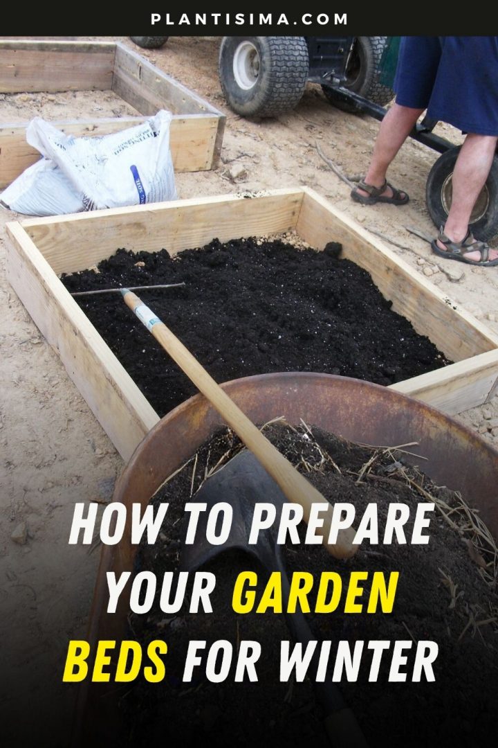 How to Prepare Your Garden Beds for Winter: A Simple and Effective ...