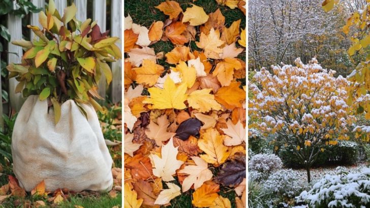 Avoid These 10 Fall Garden Mistakes or You’ll Regret It Next Spring