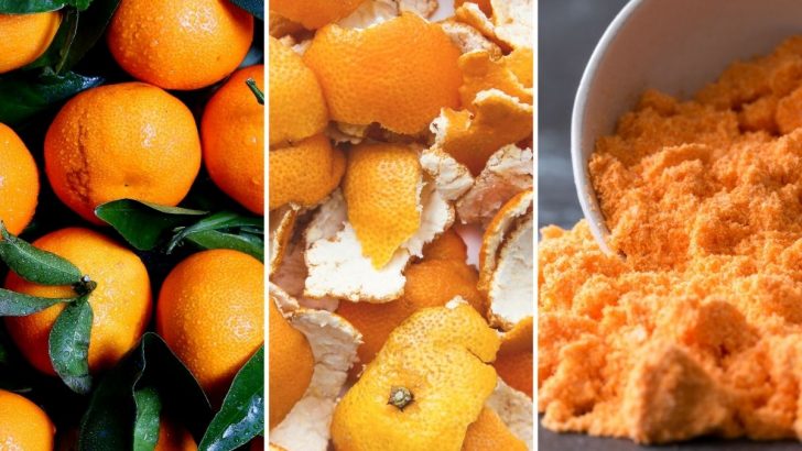 You Won’t Believe the Benefits Hidden in Orange Peel Powder