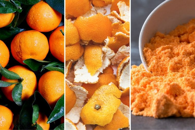 You Won’t Believe the Benefits Hidden in Orange Peel Powder