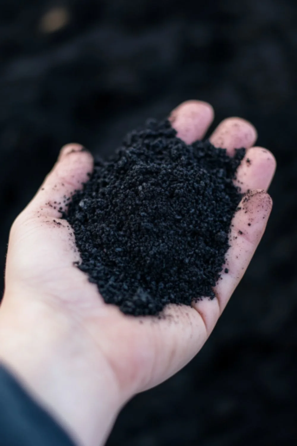 a close-up of a hand holding a handful of dark black soil