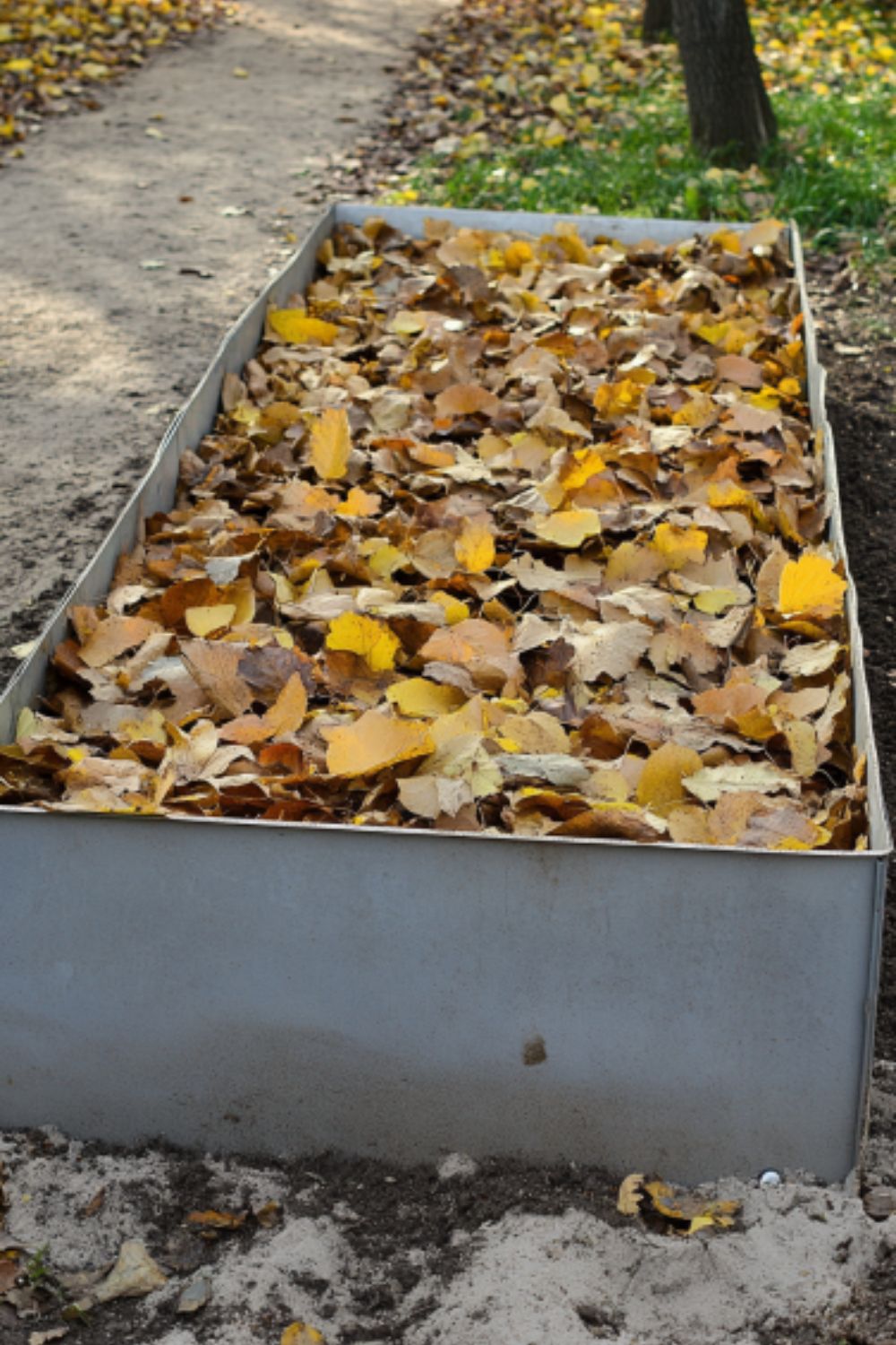 a raised garden bed filled with a thick layer of fallen leaves