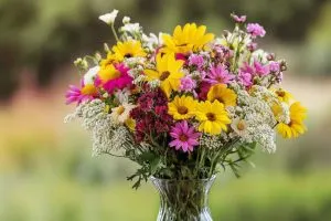 10 Lovely Flowers to Grow and Cut for Your Homemade Bouquets