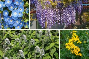 10 Plants That Will Make You Regret Planting Them