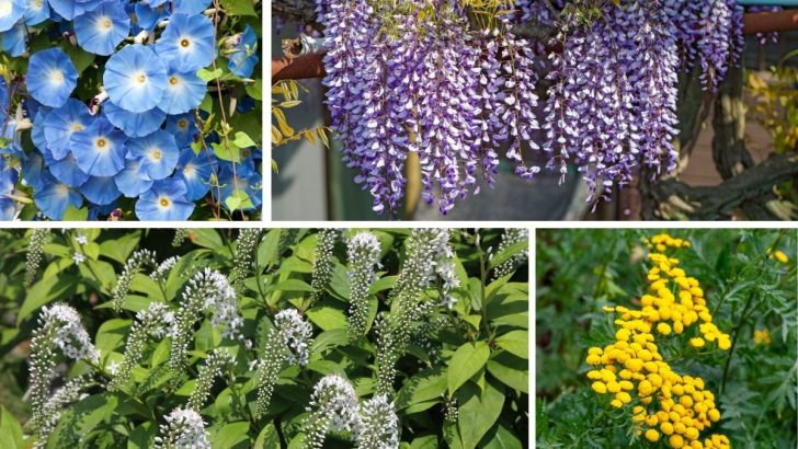 10 Plants That Will Make You Regret Planting Them