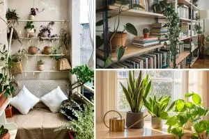 11 Inspiring Ways to Arrange and Display Indoor Plants