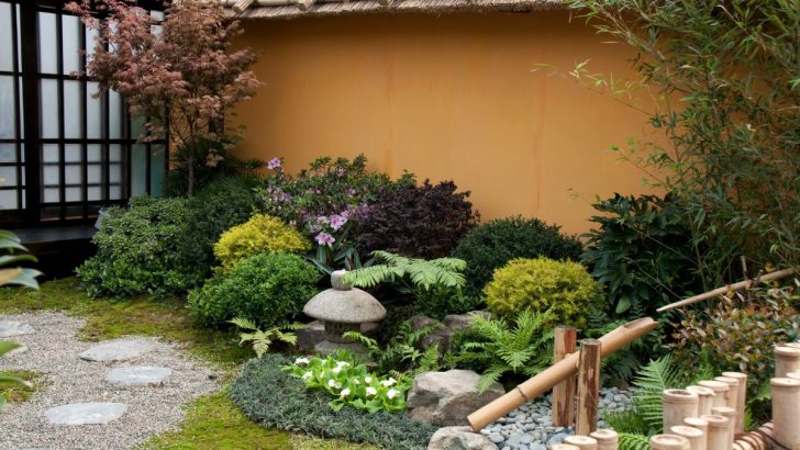 12 Japanese Plants to Bring a Touch of Japan into Your Home