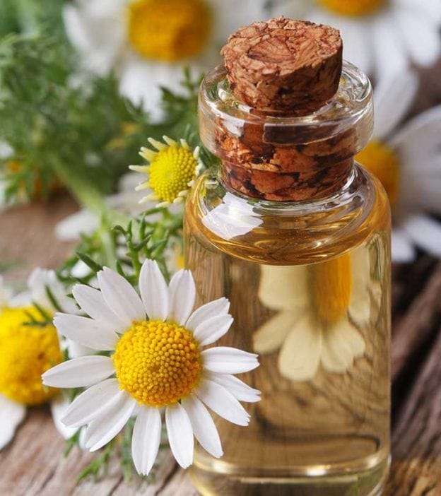 15 Amazing Benefits Of Chamomile Oil For Skin, Health And Hair