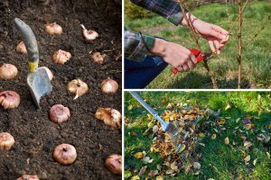 5 Fall Gardening Myths That Are Wasting Your Time