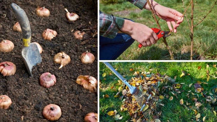 5 Fall Gardening Myths That Are Wasting Your Time