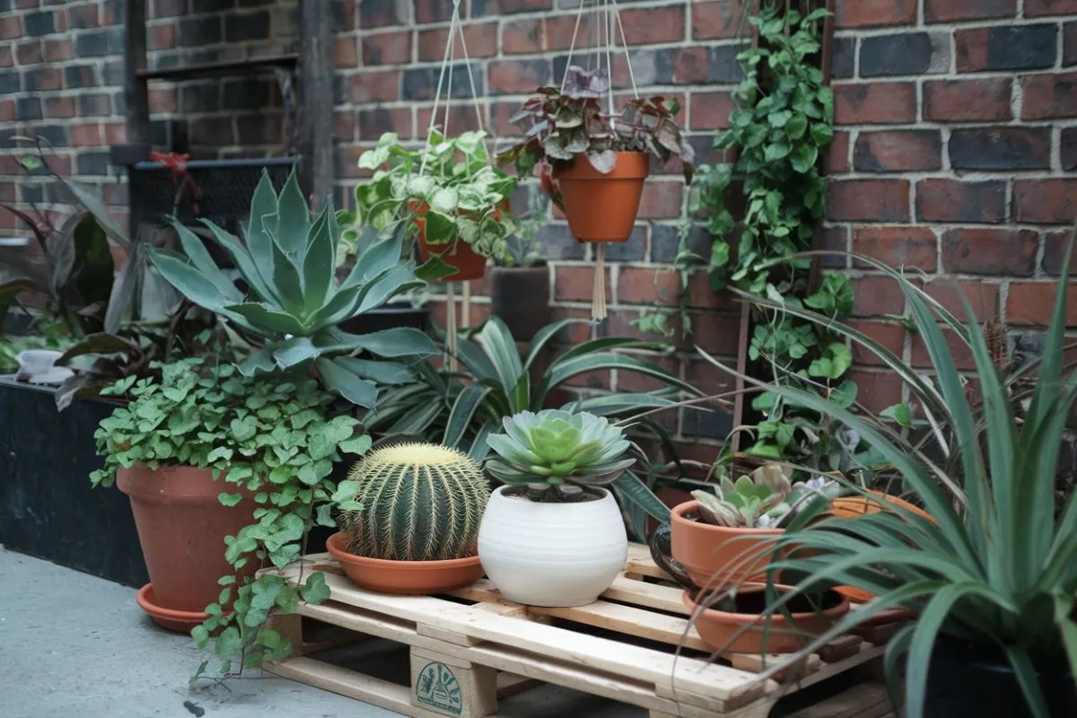 5 Ideal Plants to Transform Your Small Space