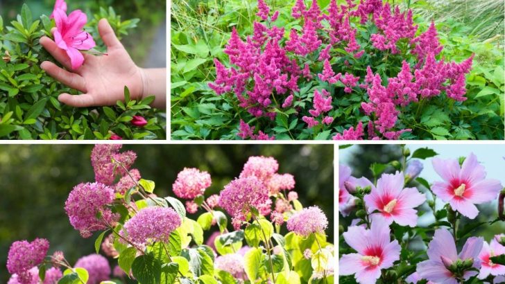 5 Pink Flowering Shrubs That Will Transform Your Garden