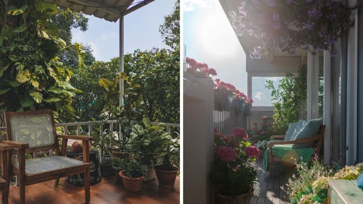 7 Simple Tips for Thriving Balcony Gardens, Even in the City