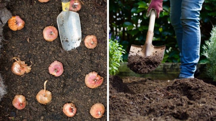 Don’t Skip These 7 Essential November Gardening Jobs