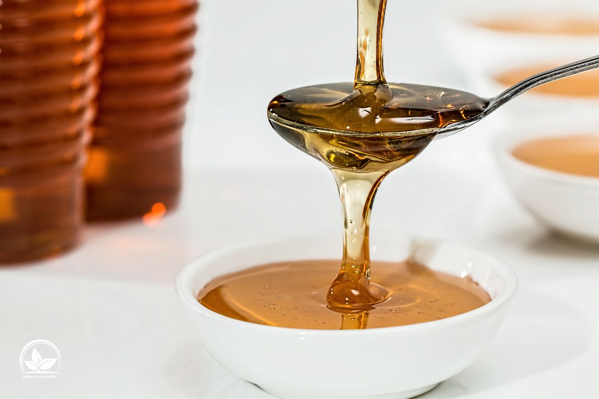 Honey-is-not-just-delicious-but-also-a-root-activator