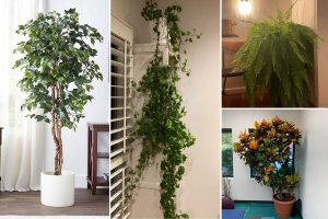 Plants You Should Avoid Keeping Indoors This Year for a Healthier Home