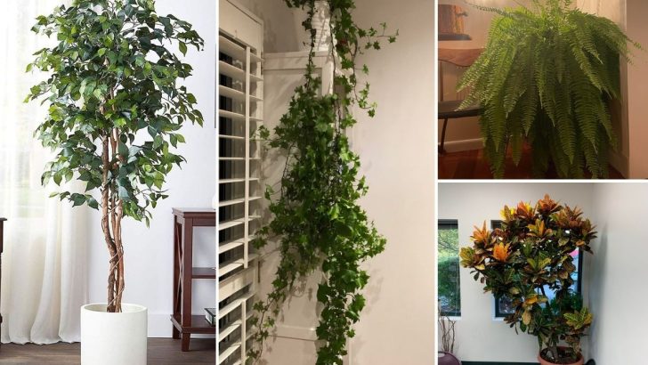 13 Plants You Shouldn’t Keep Indoors This Year