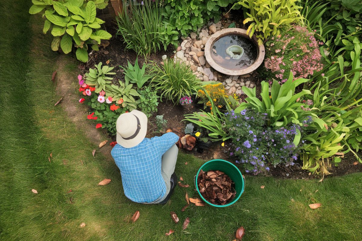 Science Says Gardening Is Good for You 6 Reasons to Start Today