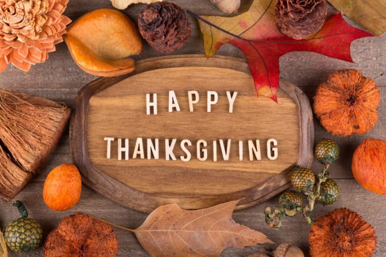 Thanksgiving Done Right 7 Ideas for a More Sustainable Holiday Feast