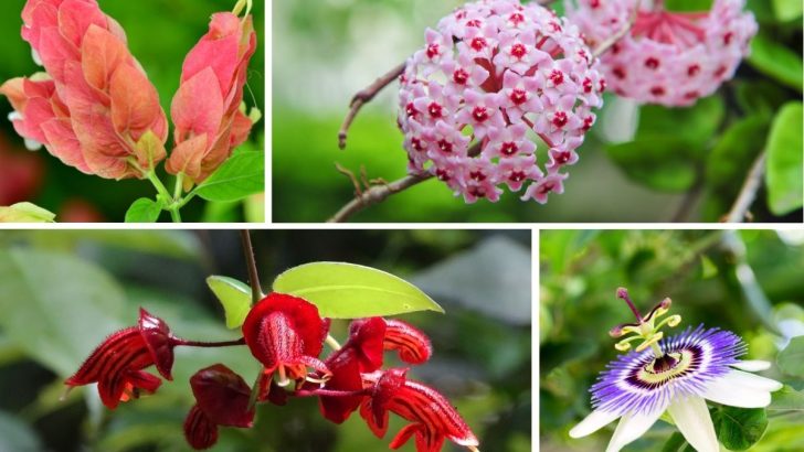 10 Tropical Plants Will Flourish Indoors (Even If It’s Too Cold Outside)